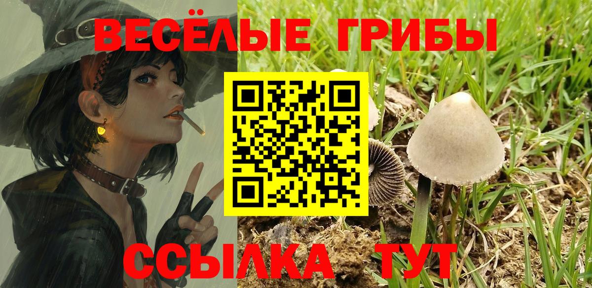 Галлюциногенные грибы ЛСД  где можно купить   Псилоцибиновые грибы мицелий  Прохладный  Вход с VPN 