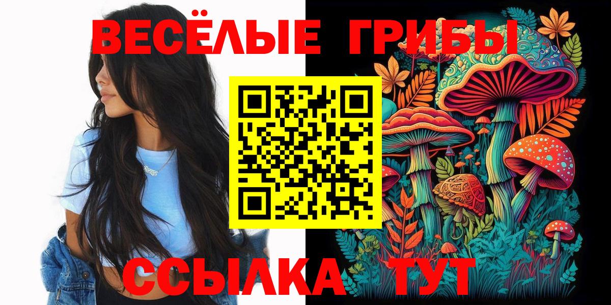 Галлюциногенные грибы мицелий Прохладный